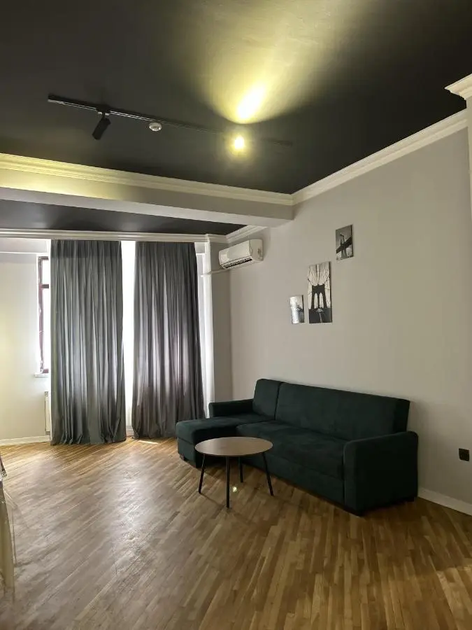 lux-deluxe city apartment