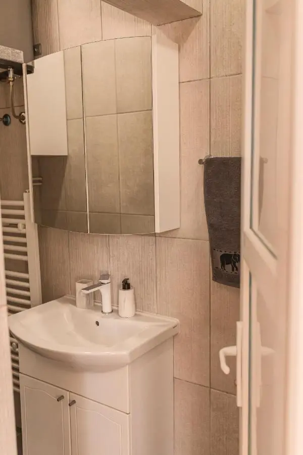 Downtown Apartment Travnik