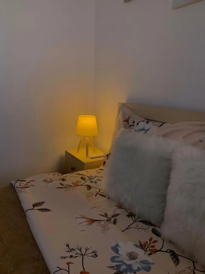 Ridi's Comfort Apartment 2