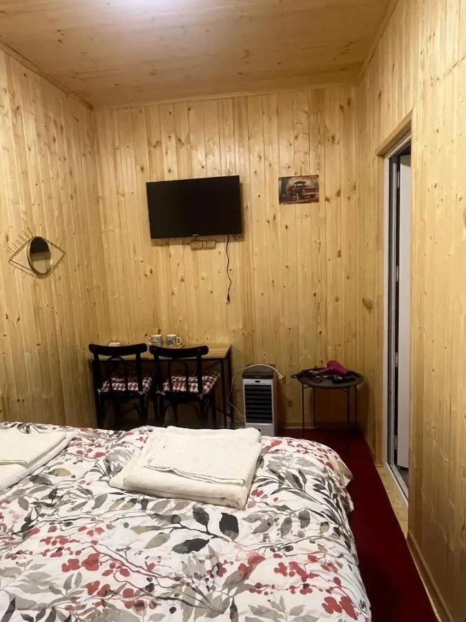 Wooden house
