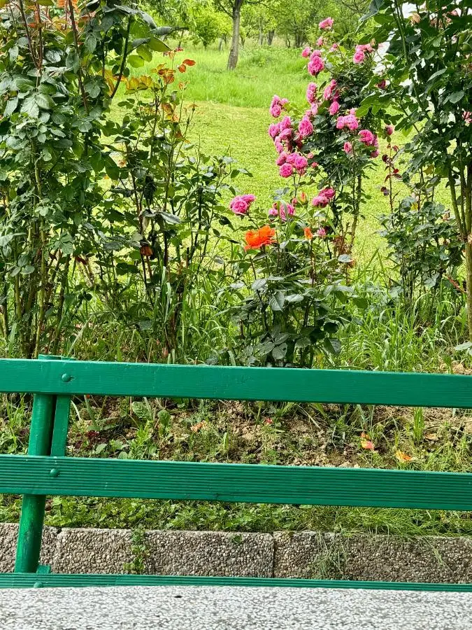 Sarajevo Flower Garden - Entire House & Private Garden