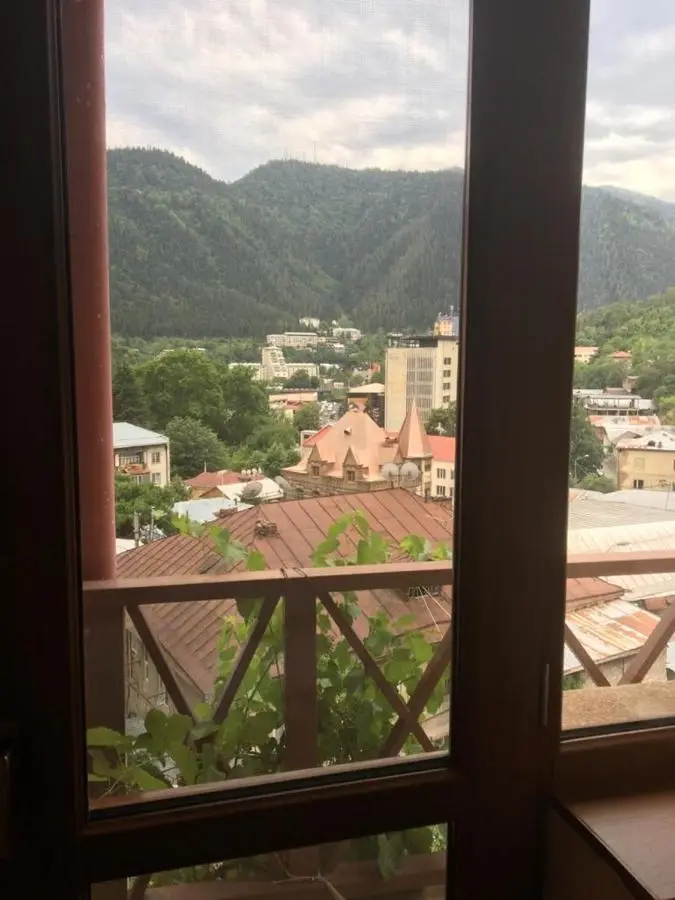 Hotel Victoria-Panorama