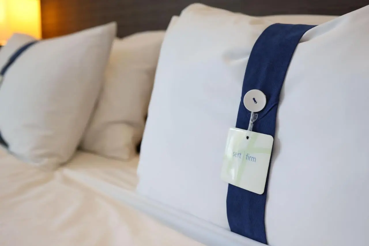 Holiday Inn Express Manisa-West by IHG