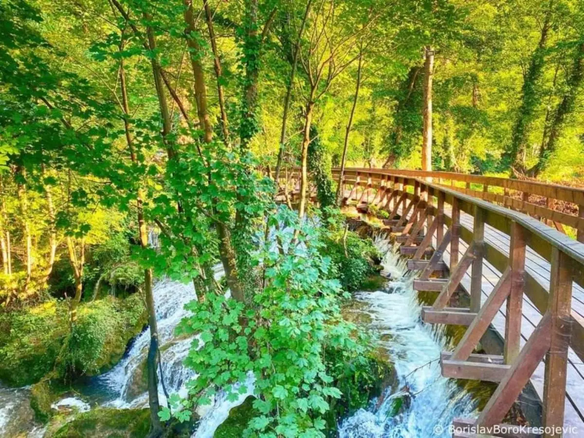Vikendica Žute dunje Jajce