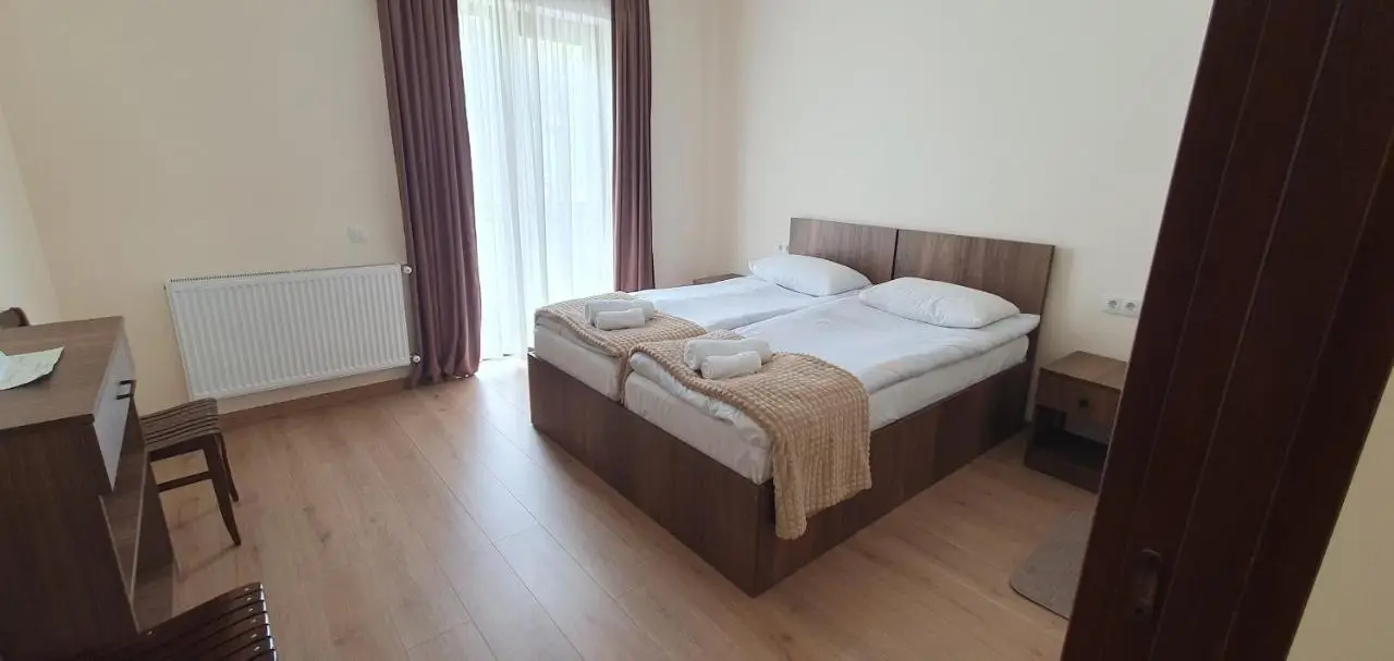 Elnetsa Inn Kazbegi