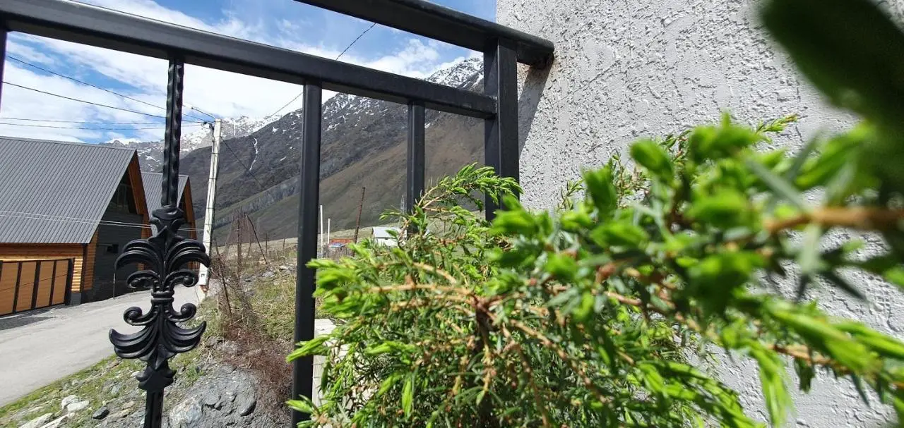 Elnetsa Inn Kazbegi