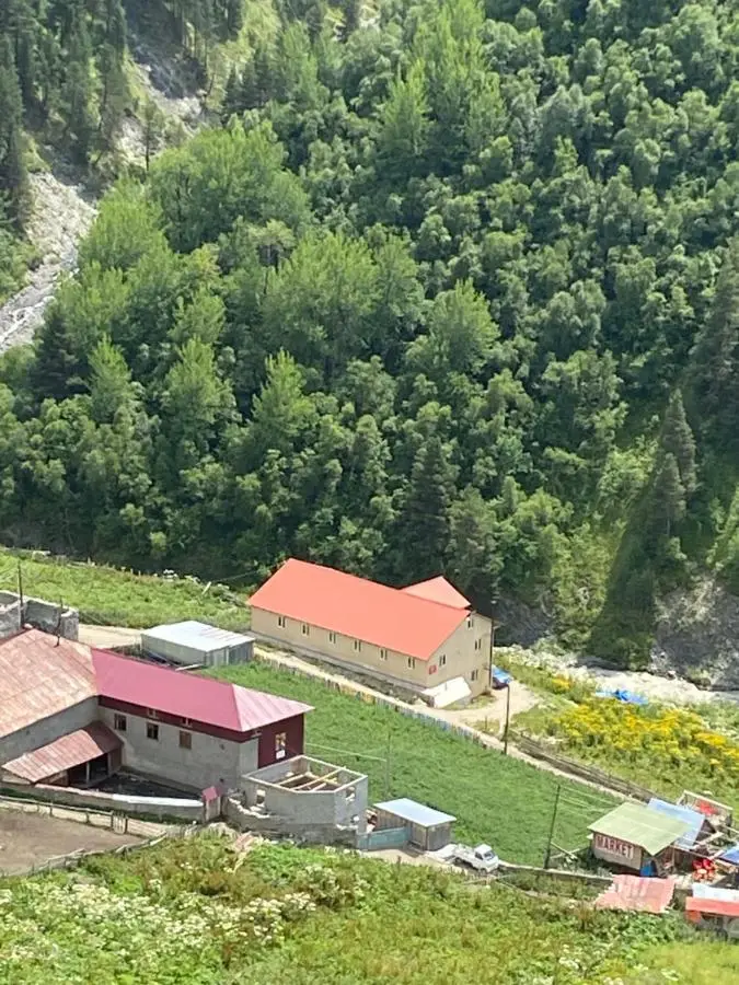 guest house caucasioni