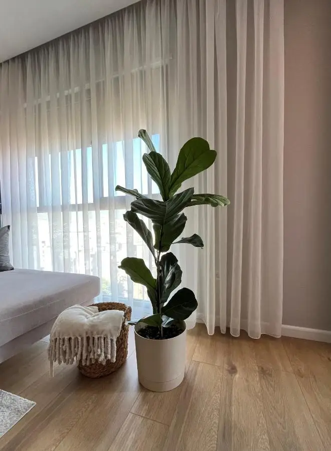 Bliss Apartment
