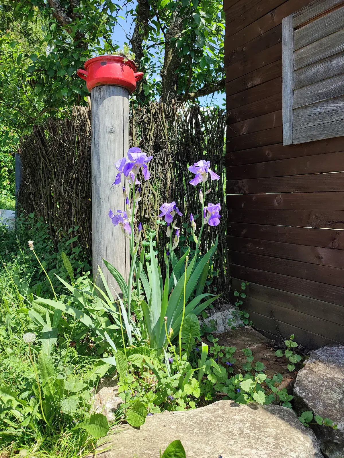 Šumarak Lodge