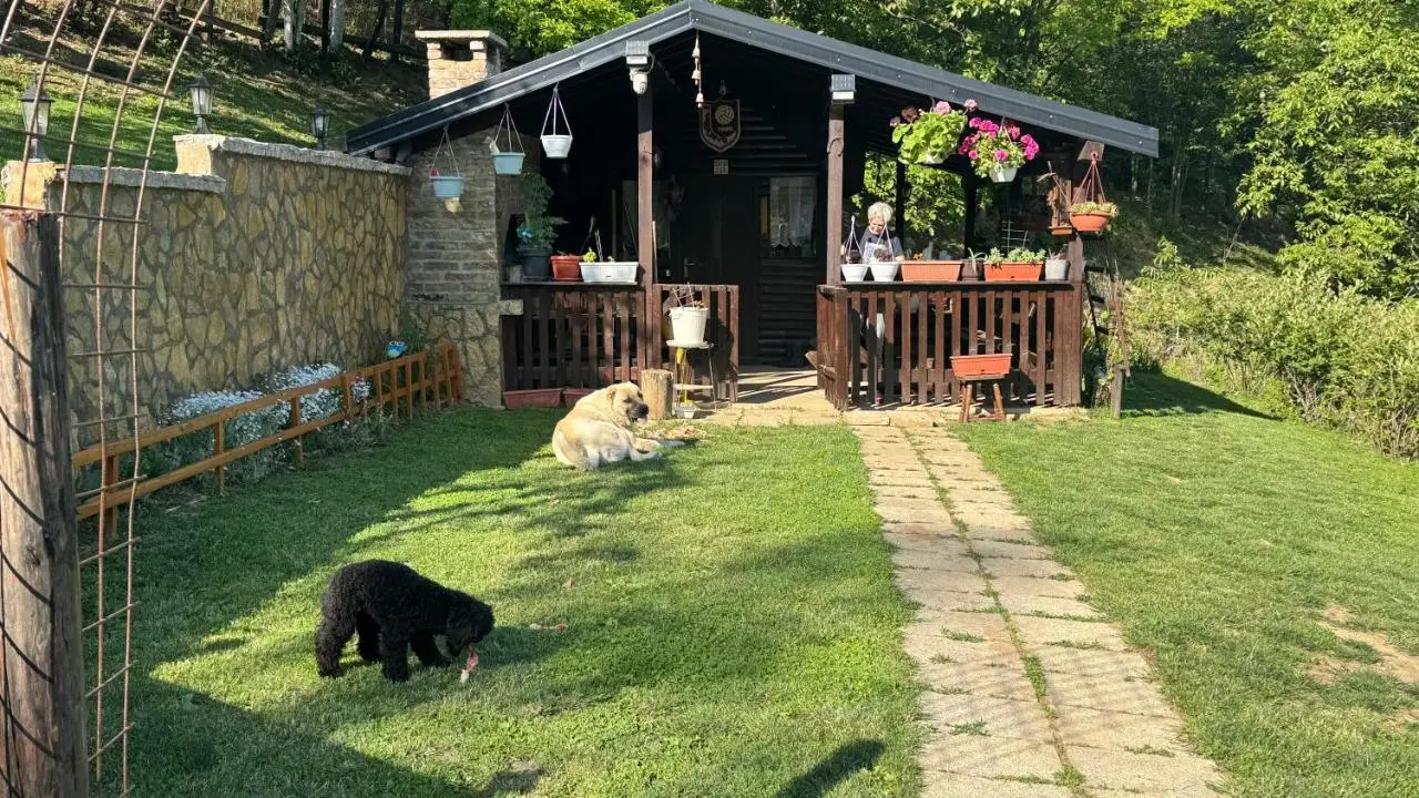 Guest House Skakavac
