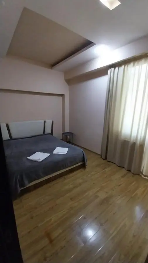 Apartment on Rustaveli