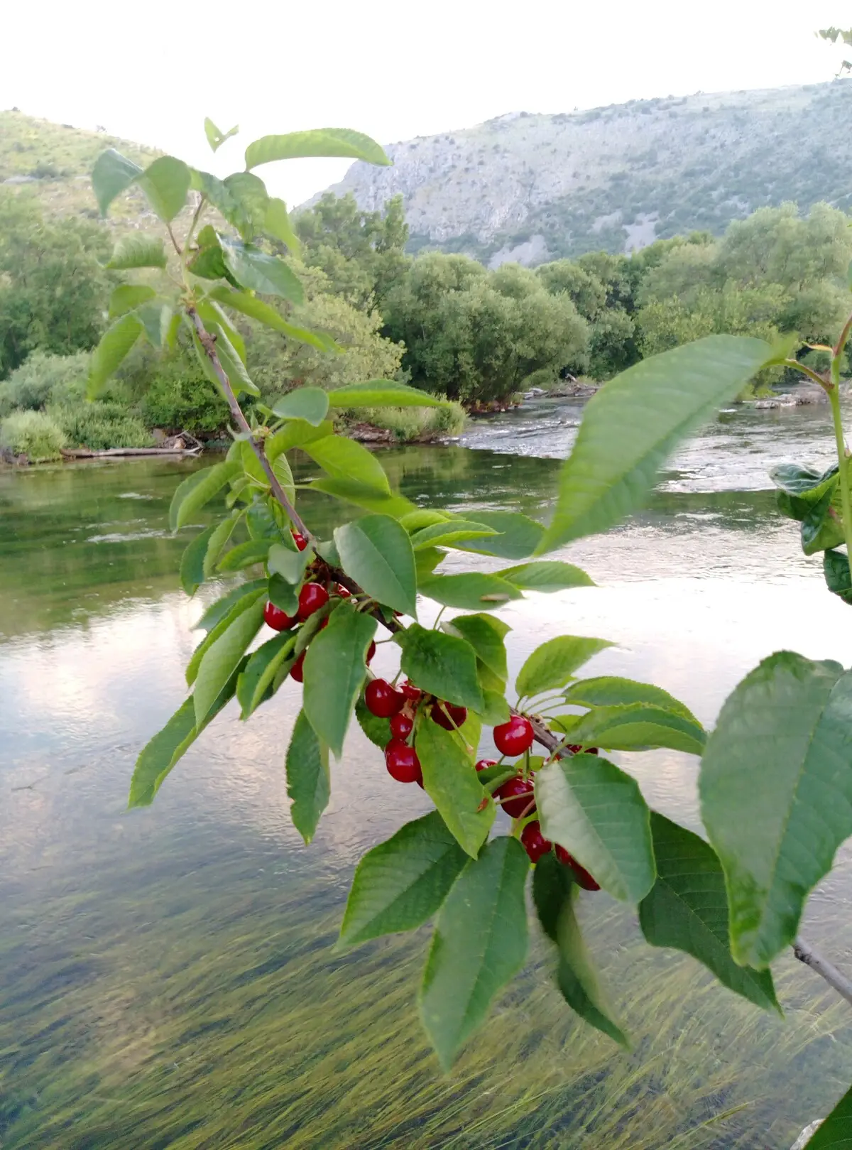 River House Buna - Mostar