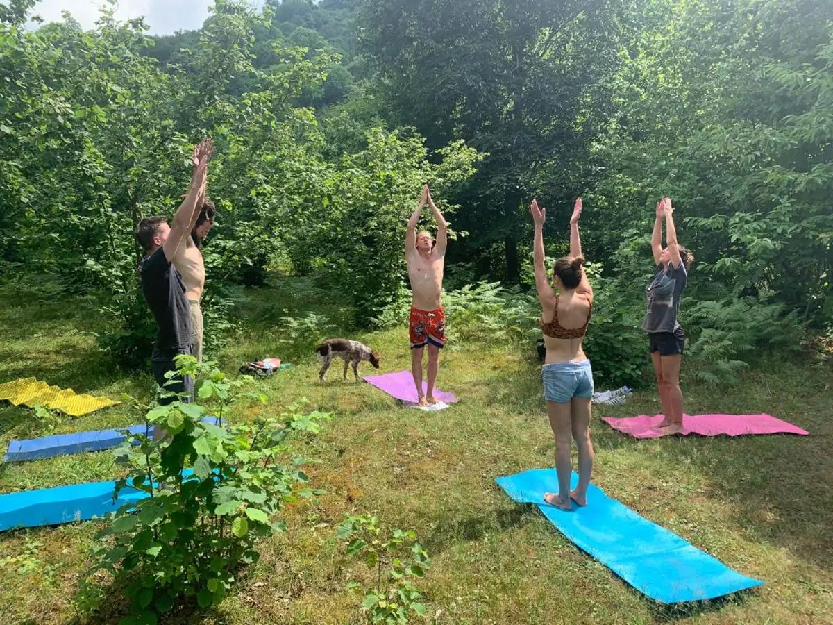 Dumbo Eco Camp