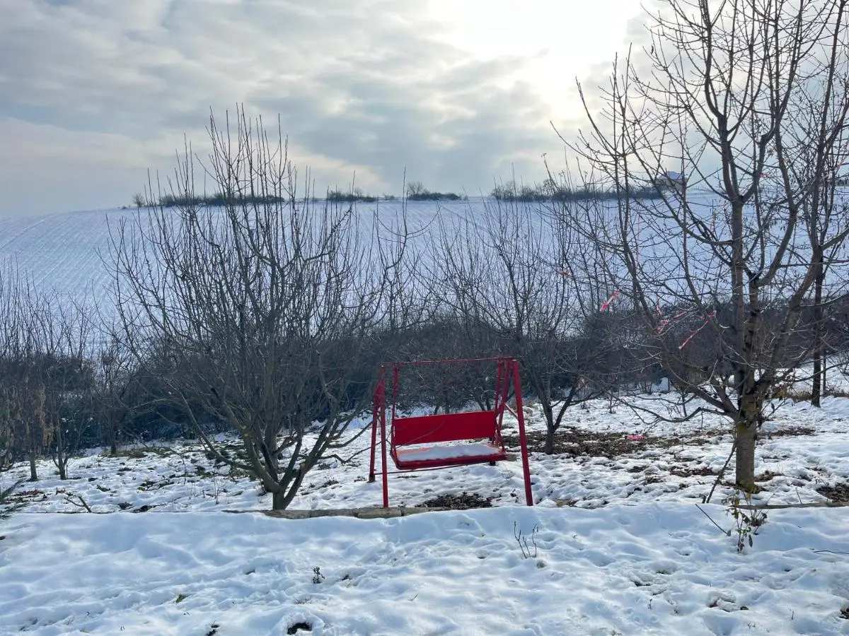 Orchard