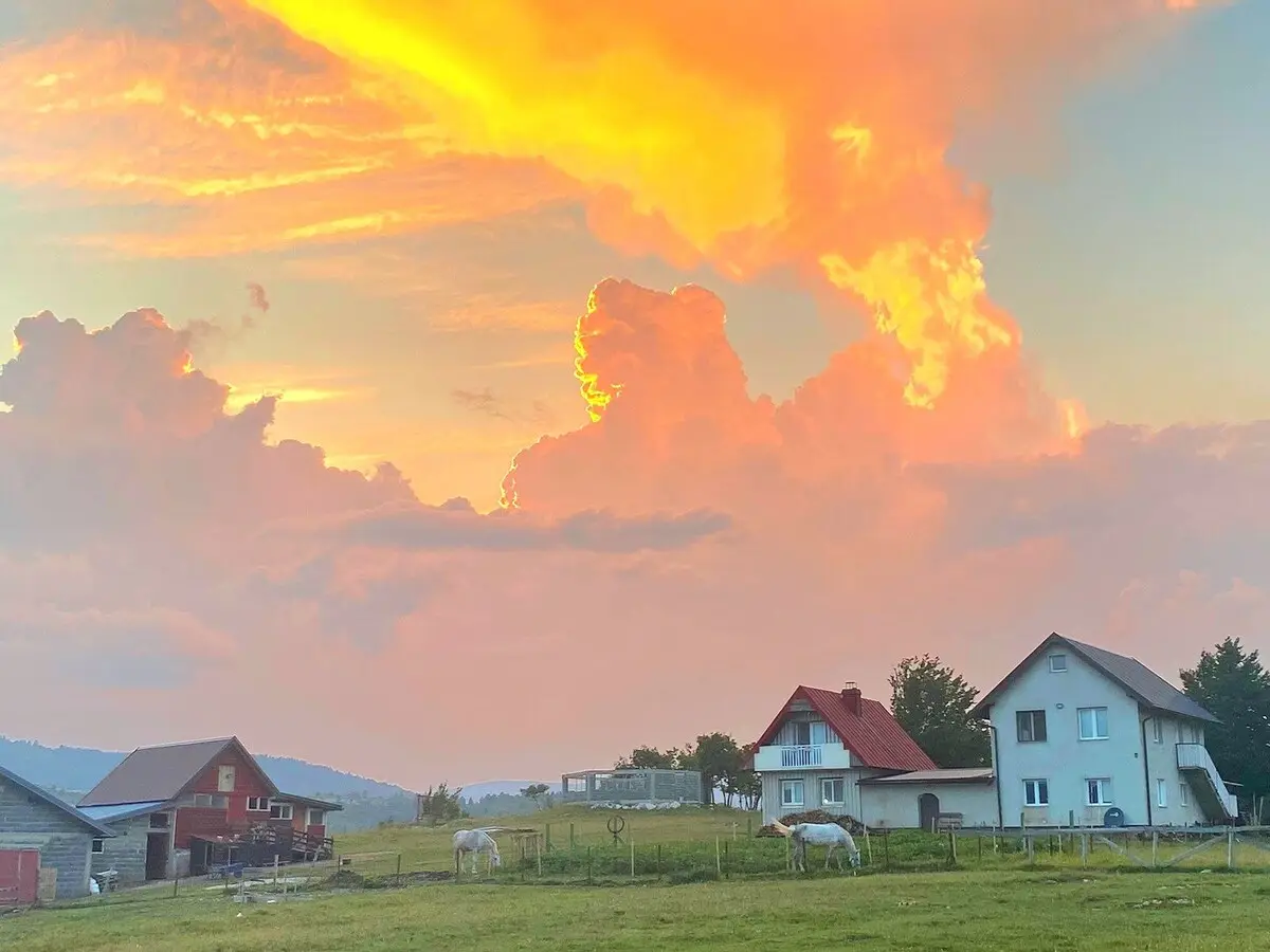 Did's Farm