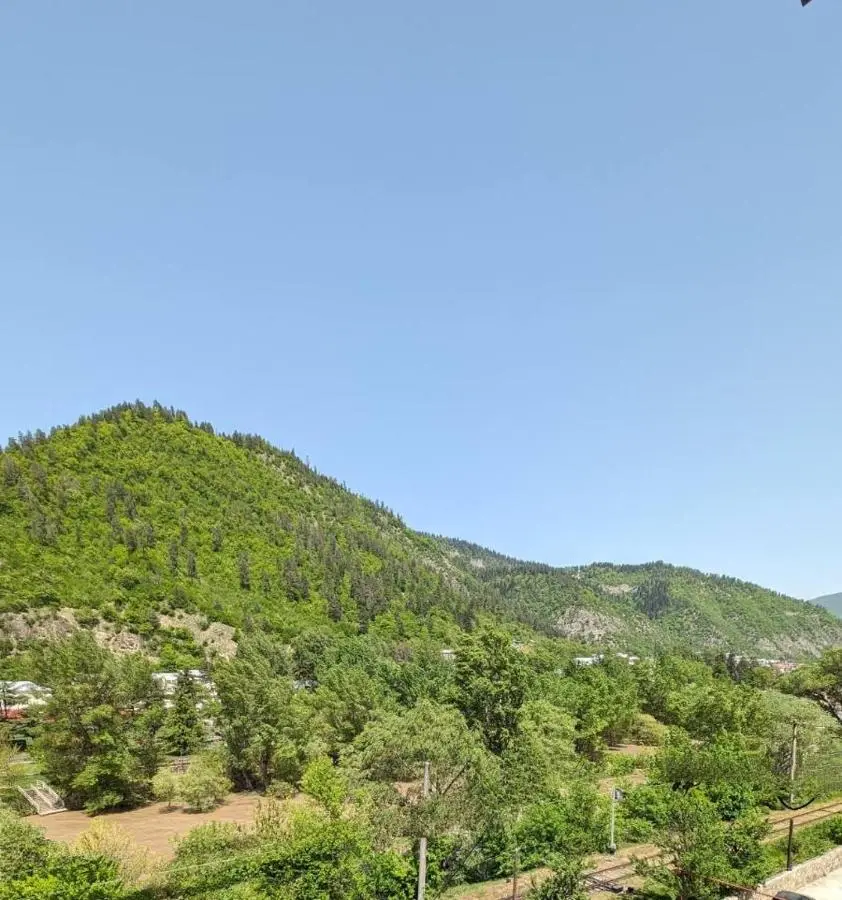Gari's apartment next to Borjomi Central Park