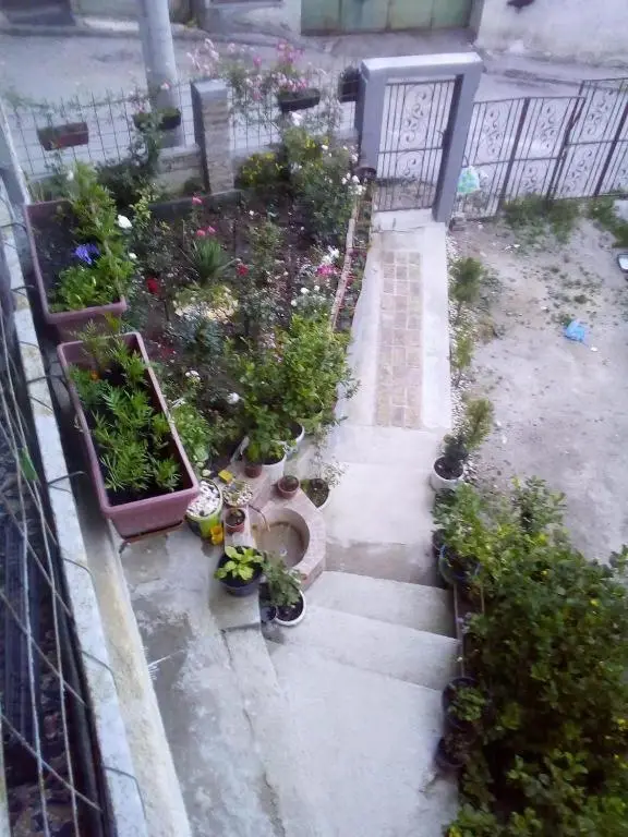 Apartman Turkana 2
