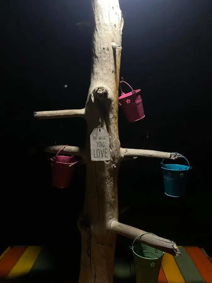 The Hood Hostel & Day Tours