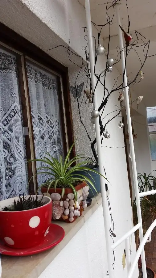 Apartments Aida
