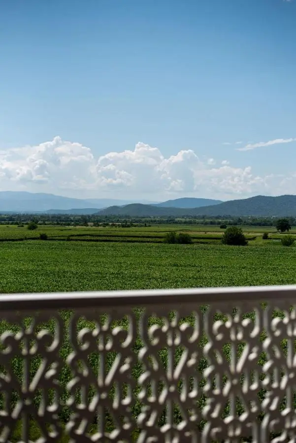 Chateau Artwine
