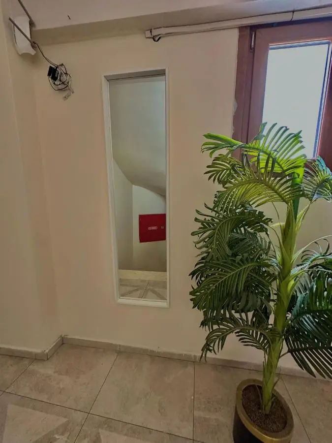 Green Suite