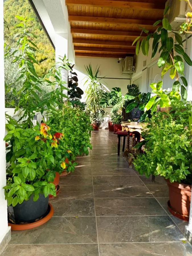 Villa Goliku