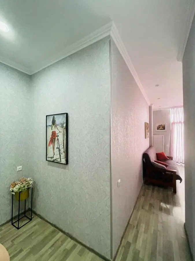 Kate's new cozy apartment