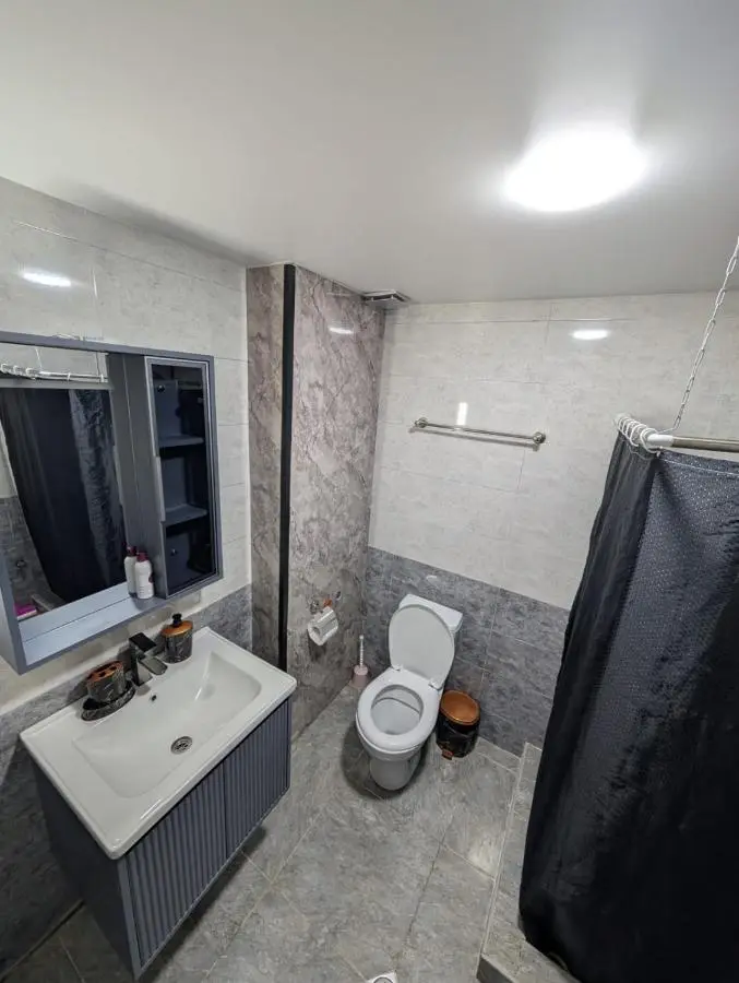 Gari's apartment next to Borjomi Central Park