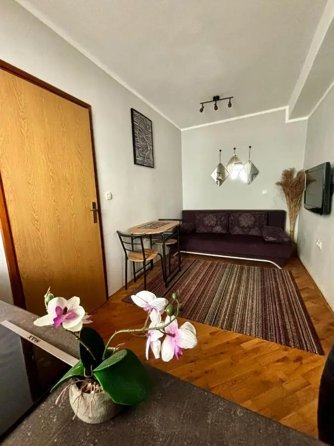 Apartman Mila Stari grad