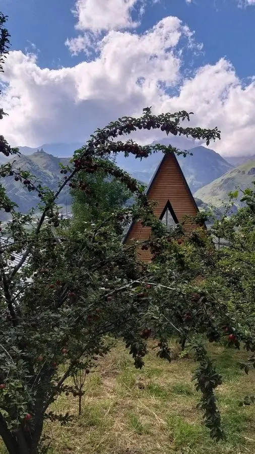 Emotion Kazbegi