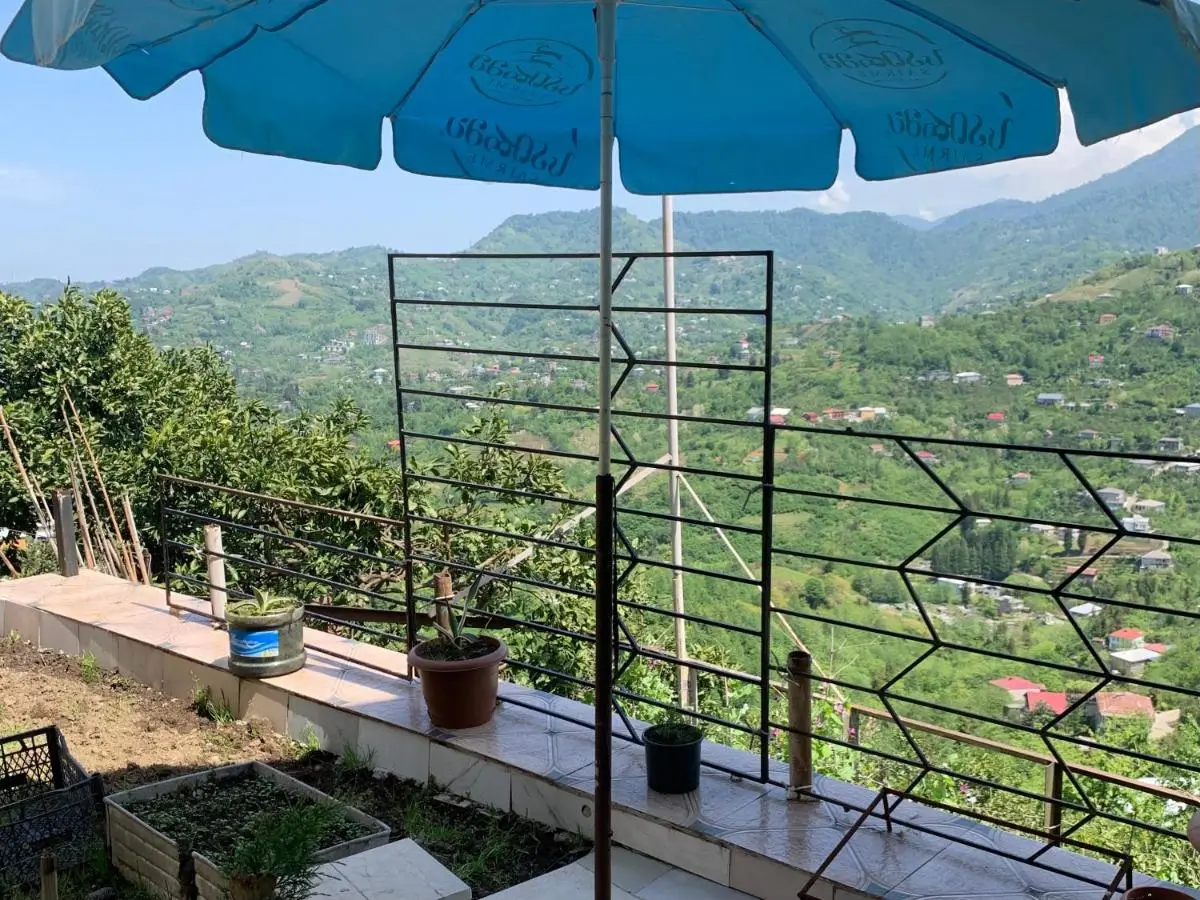 tamazis guest house