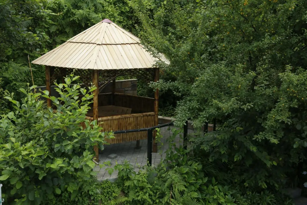 Mount Villa Kvariati
