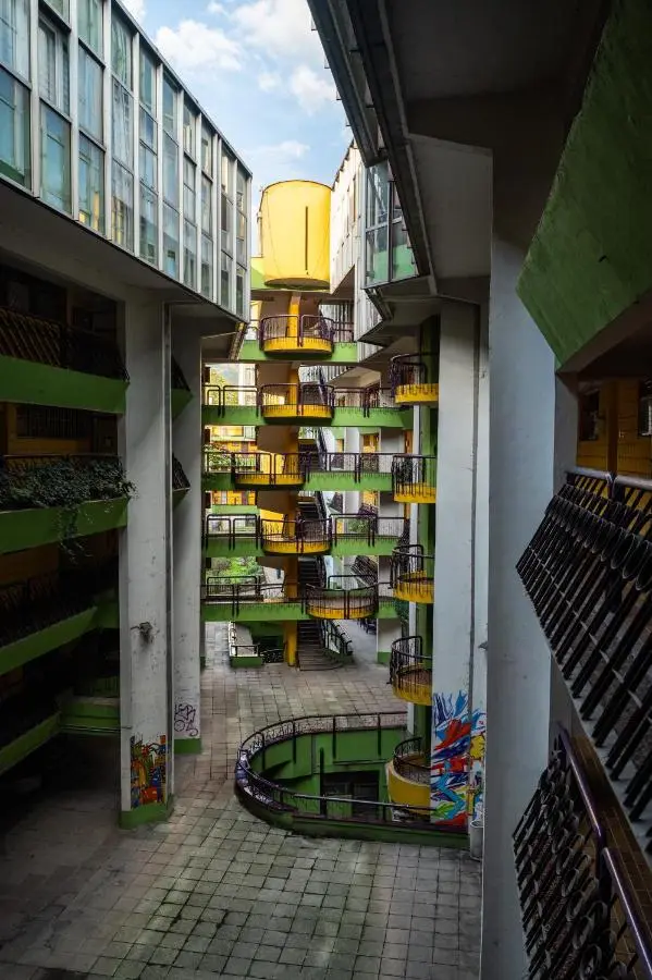 The Parrots Nest