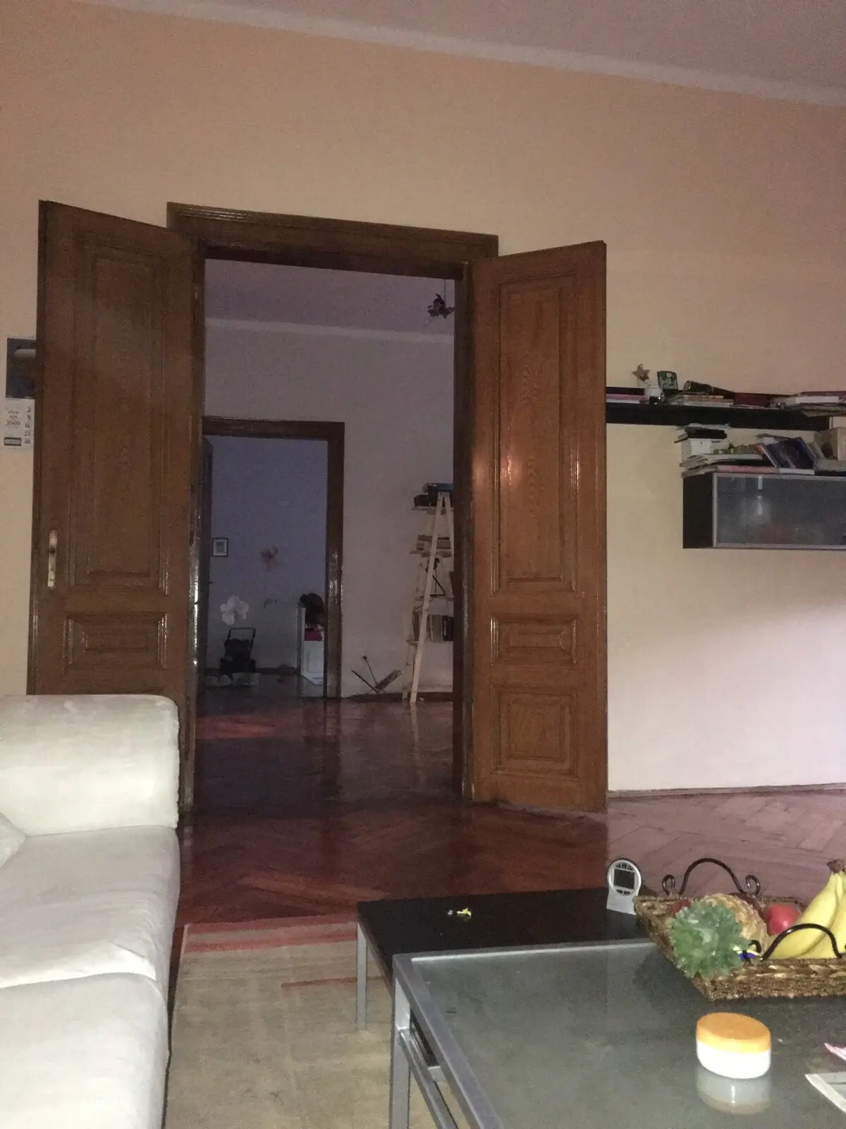 Room Eva Sarajevo City Centre, children & pets :-)