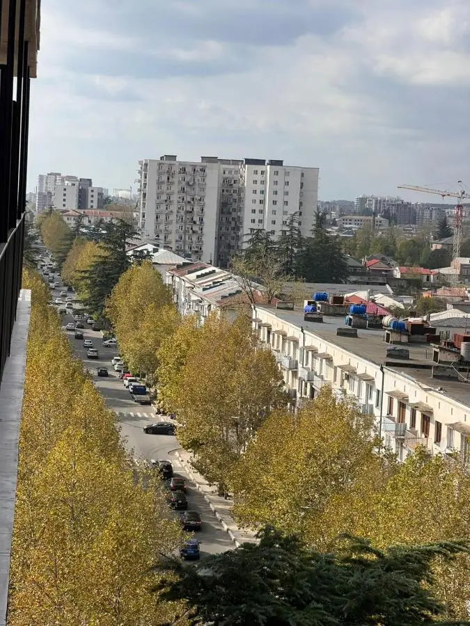 Apartment viev History centre in the sity