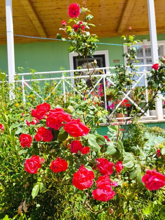 VILLA MEYSARY