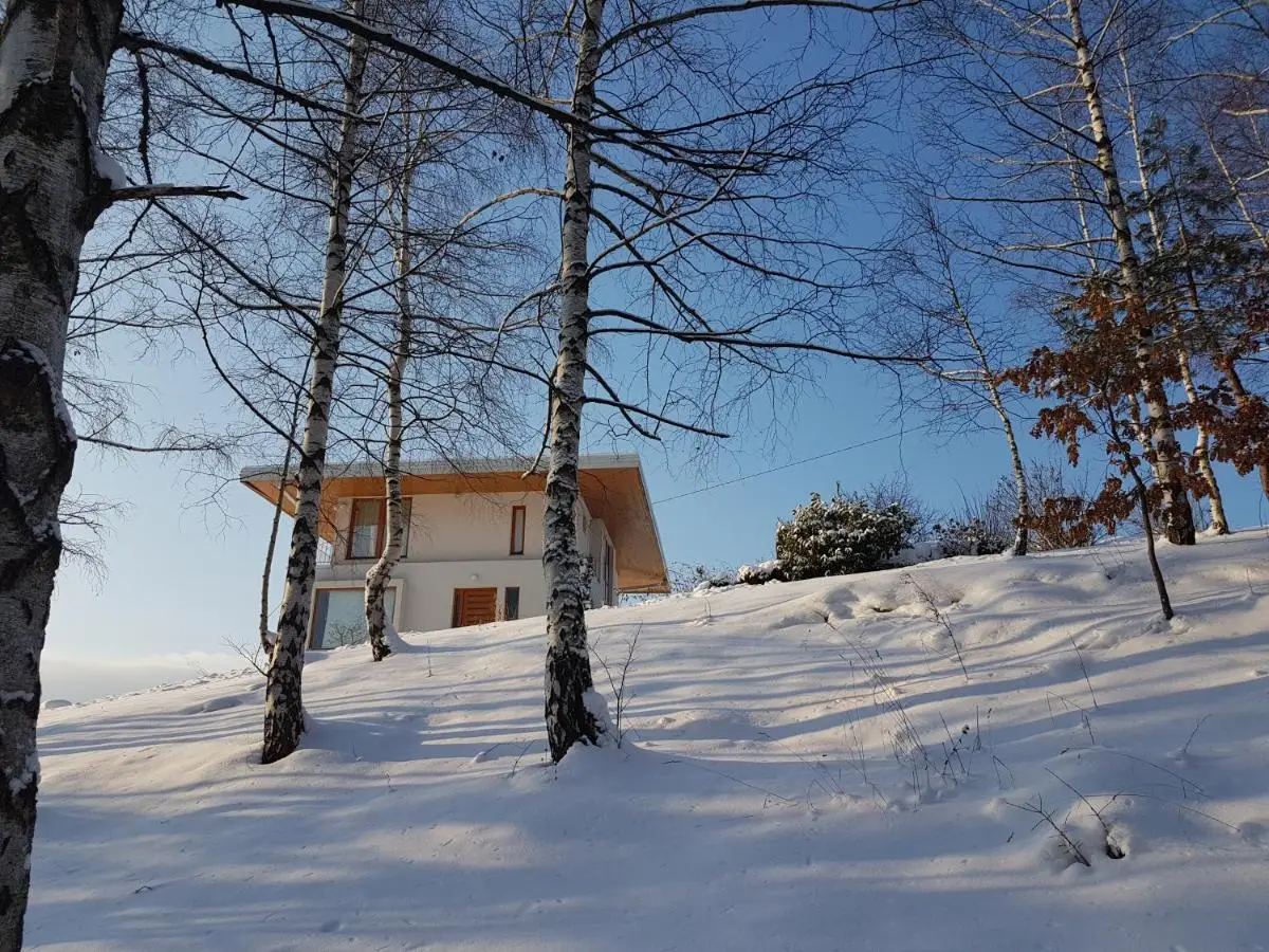 Villa Infinity