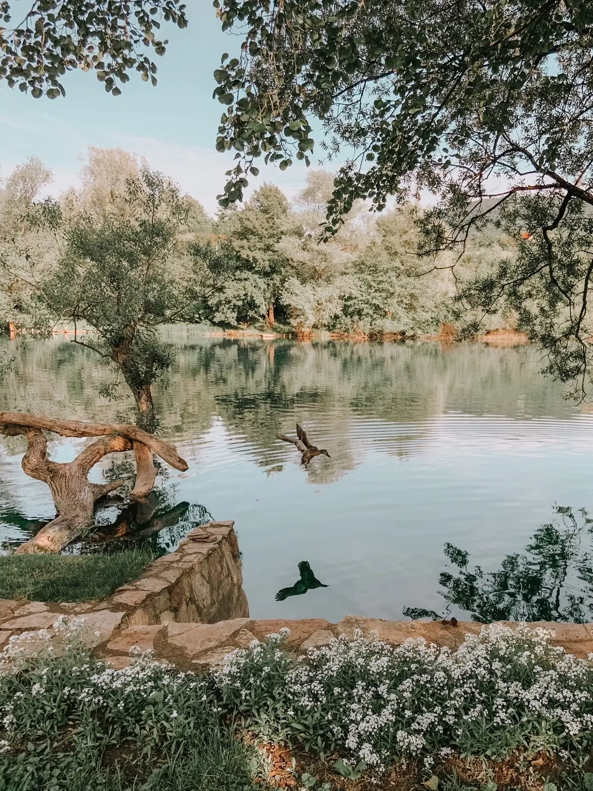 Entire residental home - Bihac