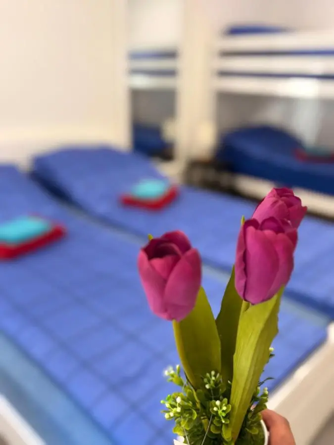 Best of Bascarsija apartments
