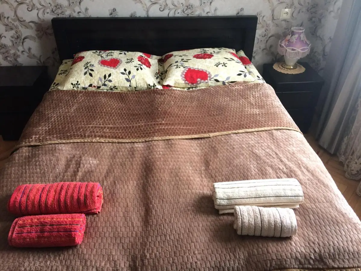 Vip Apartment at Gamrekeli str 1