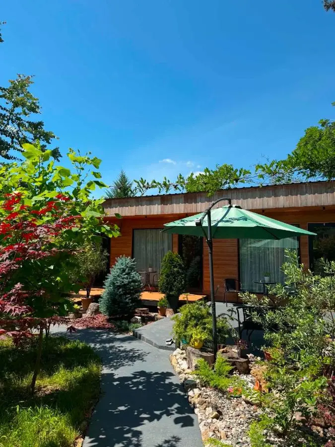 Garden rooms in Kutaisi