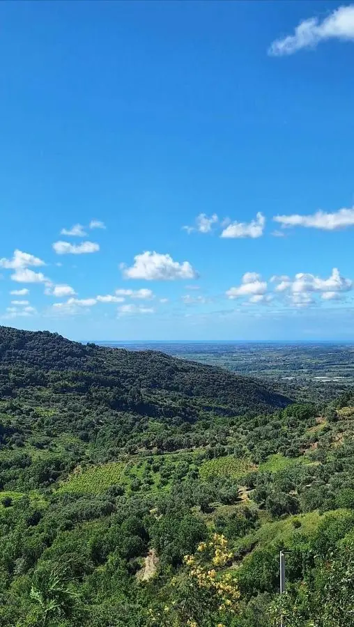 Keshtjella Xhabeqos