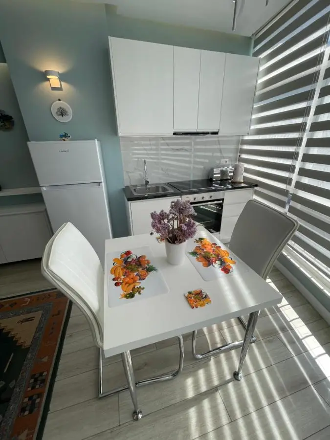 Comfort Apartment In City Center