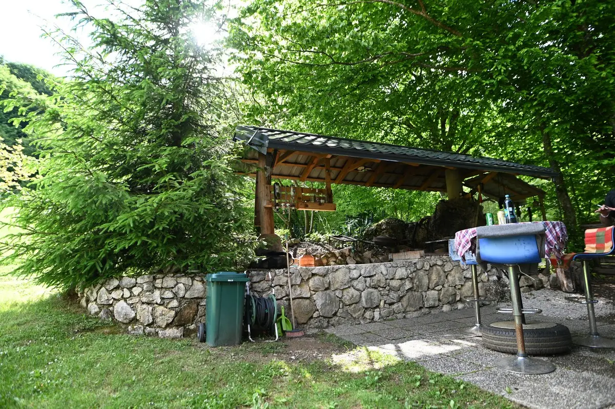Nina's Cabin