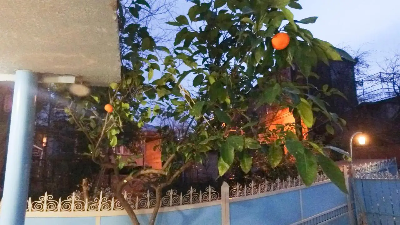 BABEL APARTMENTS