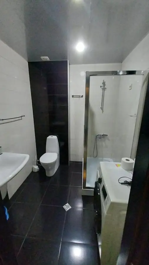 Apartment on Rustaveli