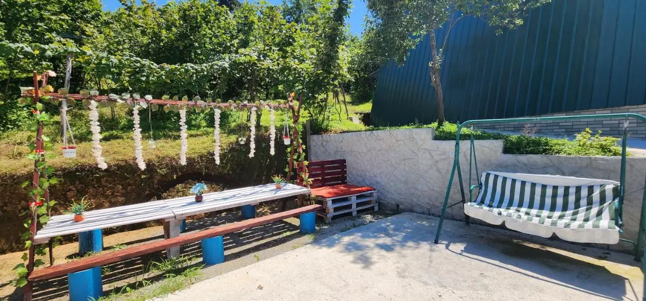 Daiana Green House