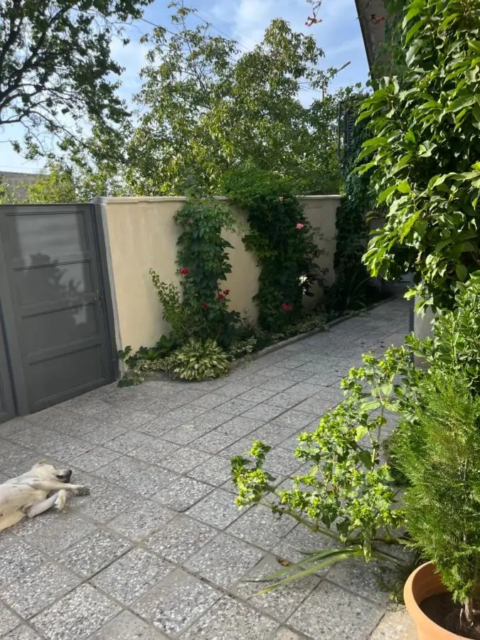 Cozy space in Tbilisi