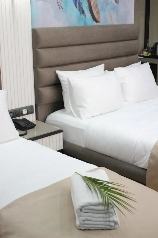Dem Premium Hotel - Round Trip Airport Service - Istanbul International Airport