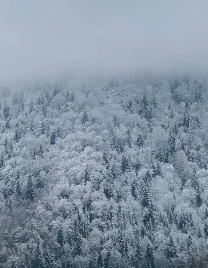 LUMA Sadgeri (Borjomi)